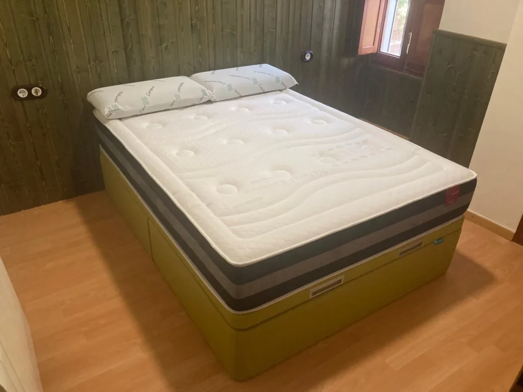 WhatsApp Image 2026-01-23 at 11.40.54 (2)