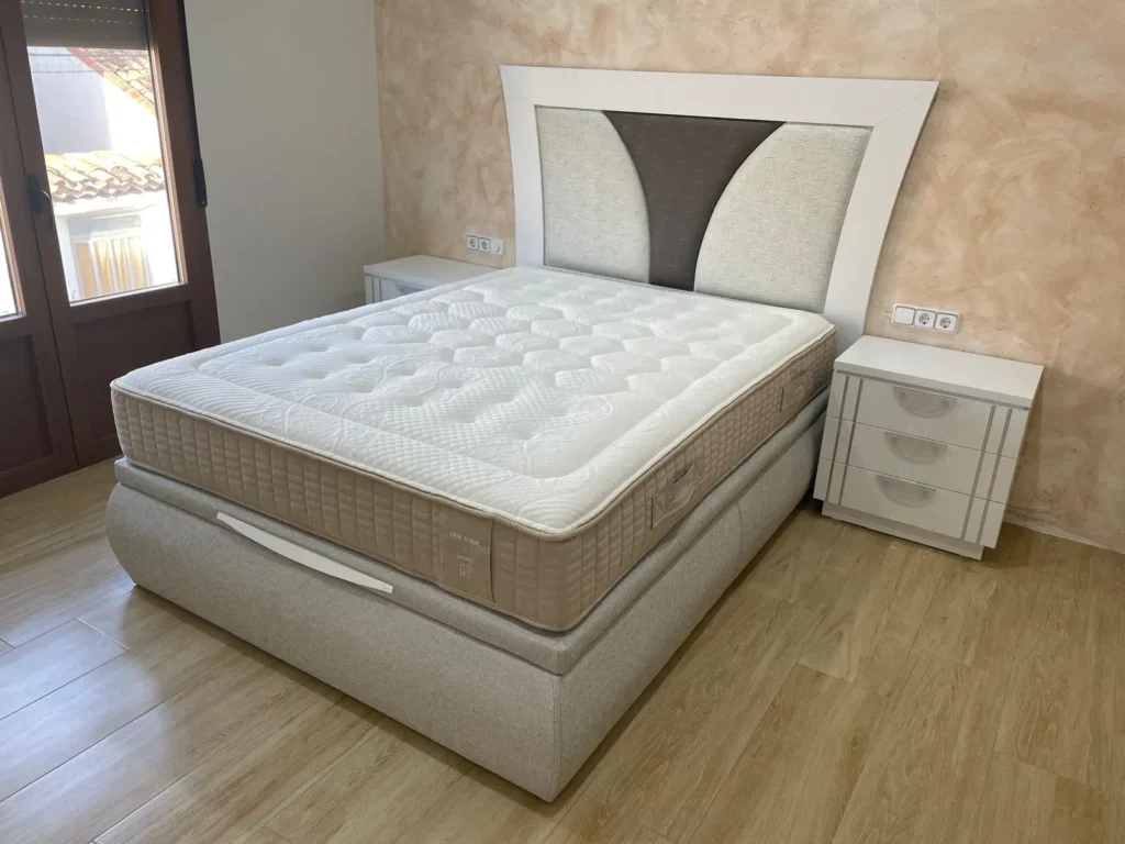 WhatsApp Image 2026-01-23 at 11.42.09 (2)