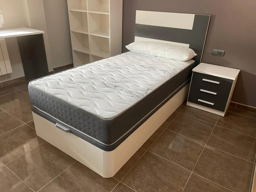 WhatsApp Image 2026-01-23 at 11.42.49